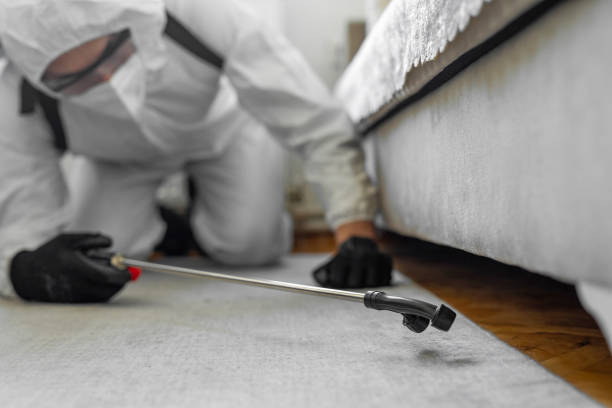 Professional Bed Bug Control technician working in Mechanicsville, VA
