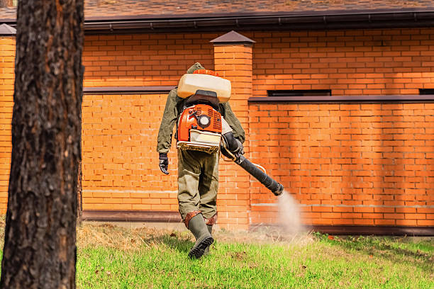 Trusted Termite Control service in Mechanicsville, VA - Nex Pest Control